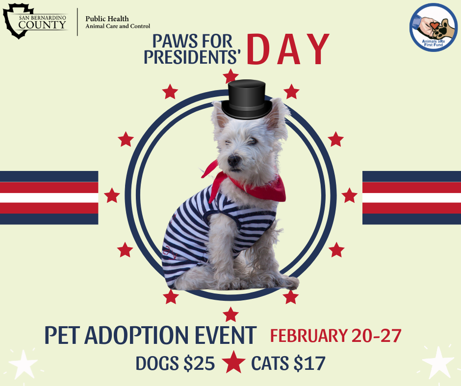 Presidents' Day Pet Adoption Event