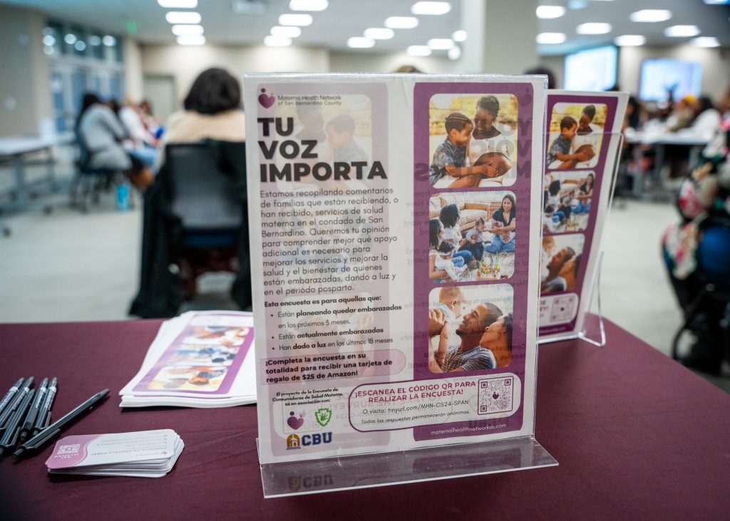 Flyers and other printed resources on a table at the PEI event.